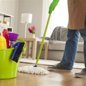 I will provide house cleaning service